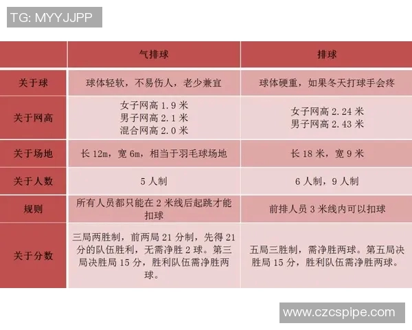 运动最新数据杨丽亲自揭秘排球技巧与训练心得助你提升球技的秘诀