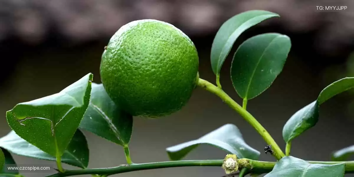 📺实时直击，精彩无延迟！体育直播官网，让你与赛场零距离！🏀💻